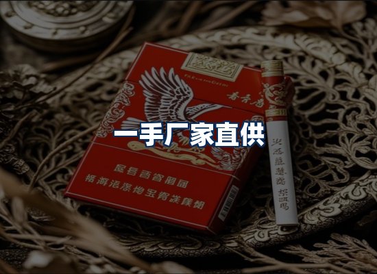 专业团队办公环境